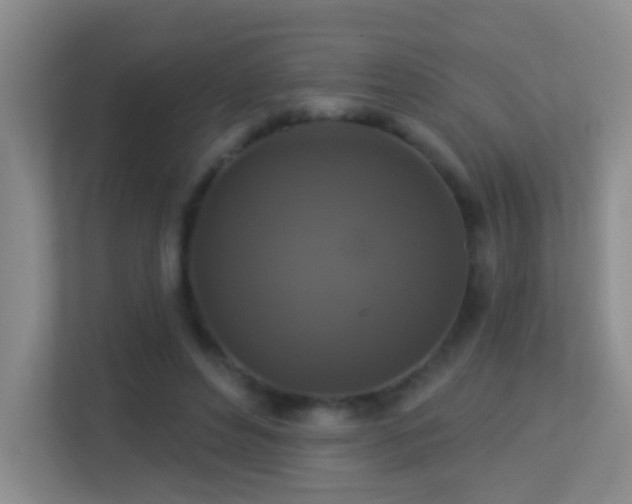 X0000113880496200909241355