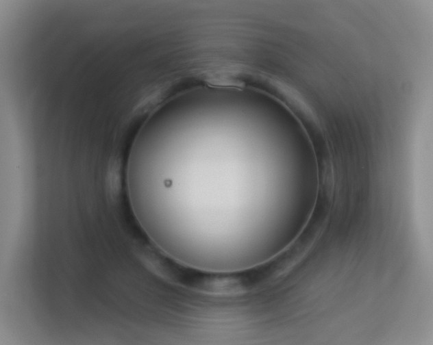 X0000113880501200909241355