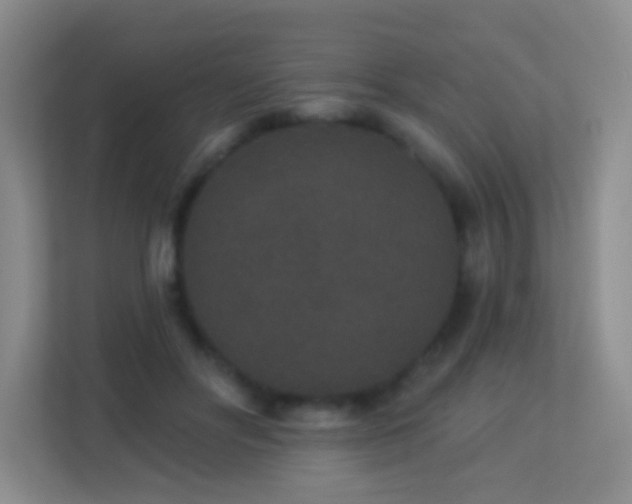 X0000113880502200909241355