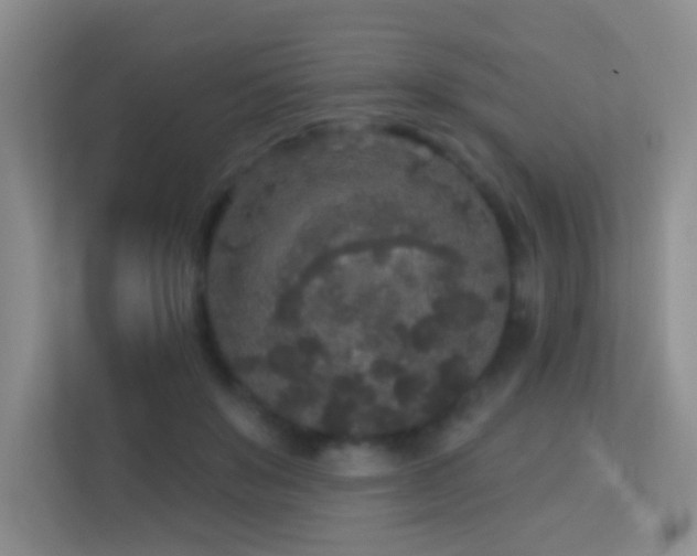 X0000113880503200909241355