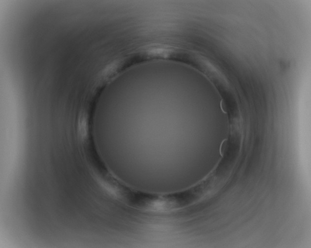 X0000113880504200909241355