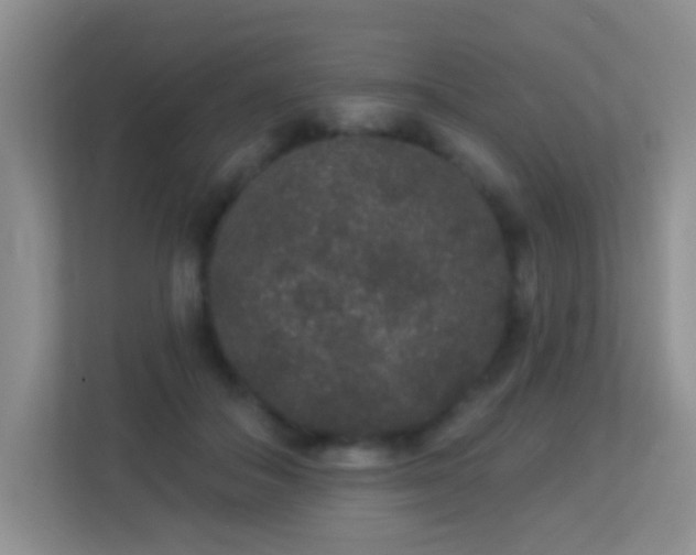X0000113880506200909241355