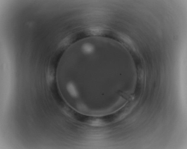 X0000113880507200909241355