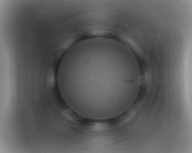X0000113880508200909241355
