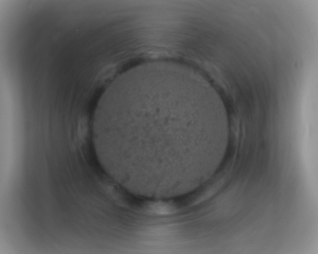 X0000113880511200909241355