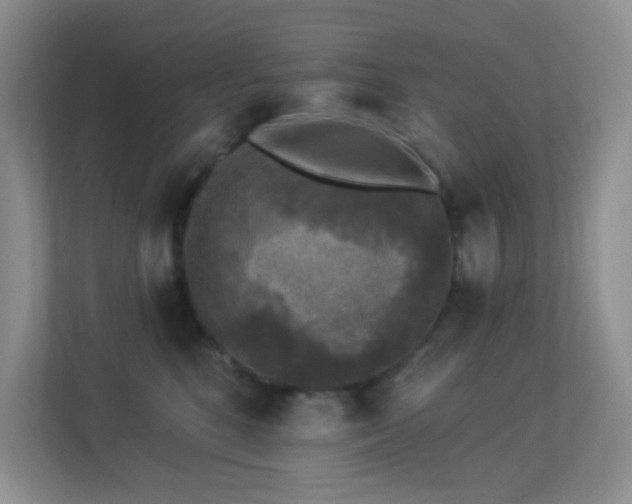 X0000113880520200909241355