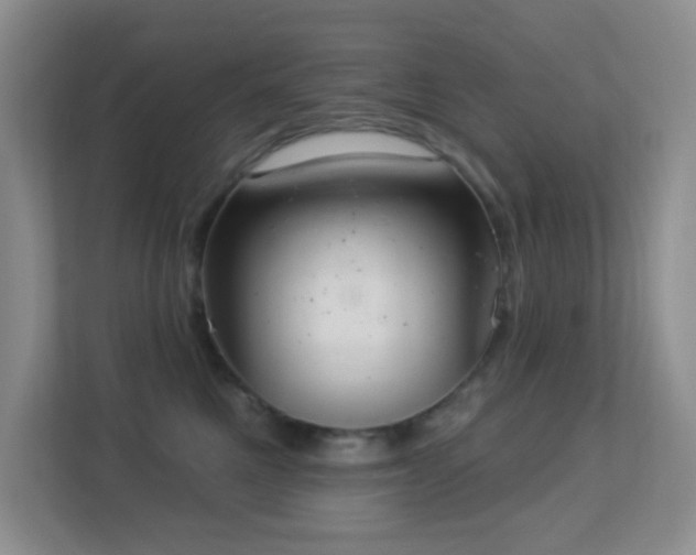 X0000113880521200909241355