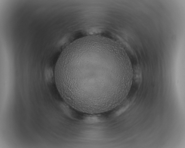 X0000113880523200909241355