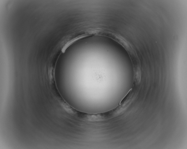 X0000113880525200909241355
