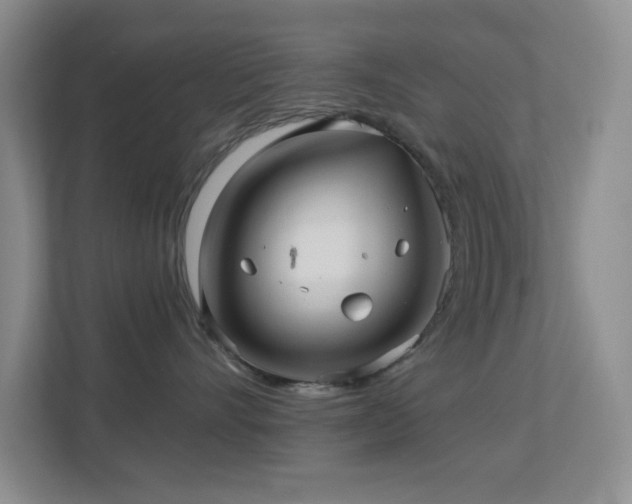 X0000113880528200909241355