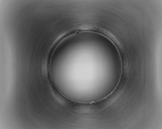 X0000113880530200909241354