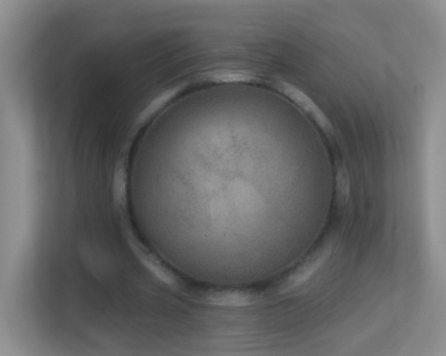 X0000113880533200909241354