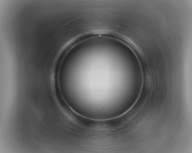 X0000113880535200909241354
