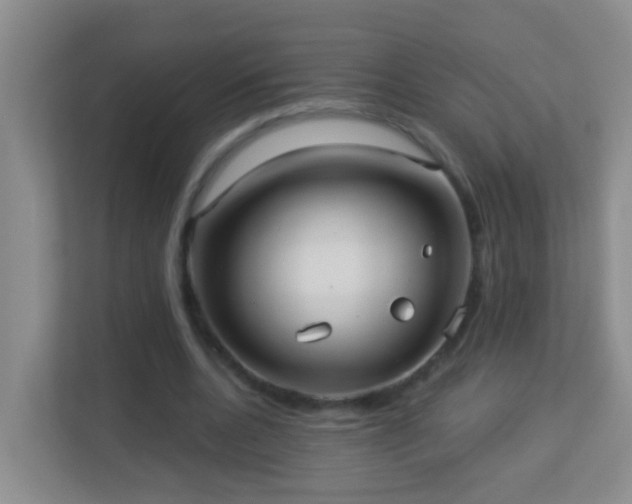 X0000113880536200909241354