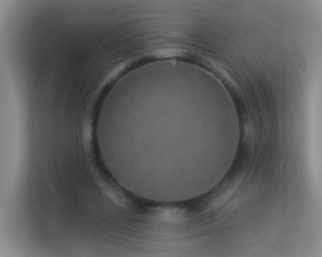 X0000113880539200909241354