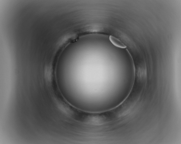 X0000113880540200909241354