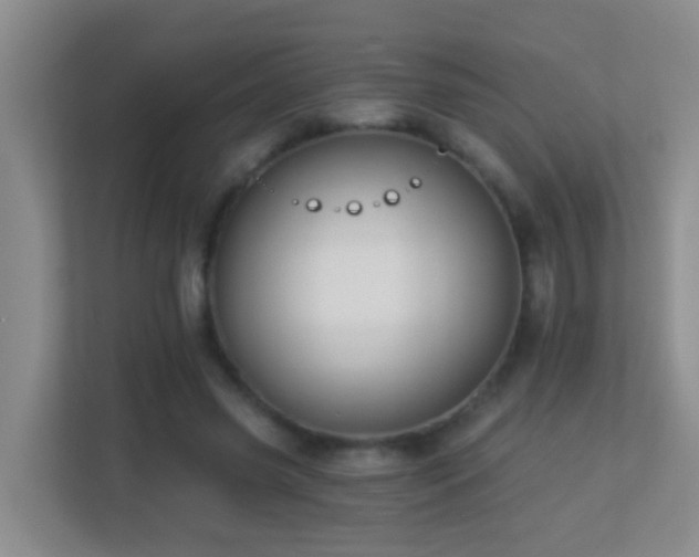 X0000113880541200909241354