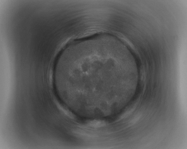 X0000113880542200909241354