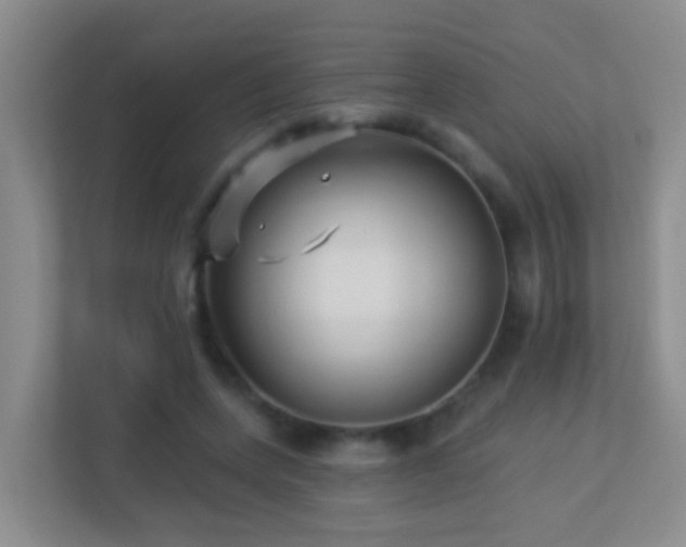X0000113880543200909241354