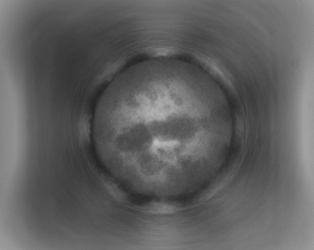 X0000113880545200909241354