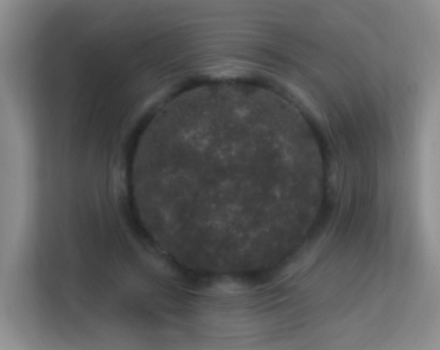 X0000113880547200909241354