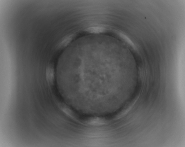 X0000113880549200909241354