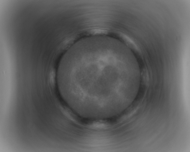 X0000113880550200909241355