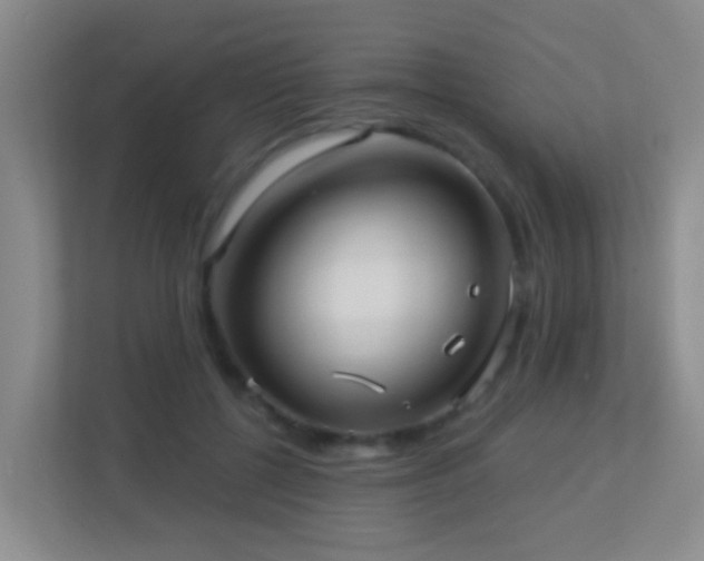 X0000113880552200909241355