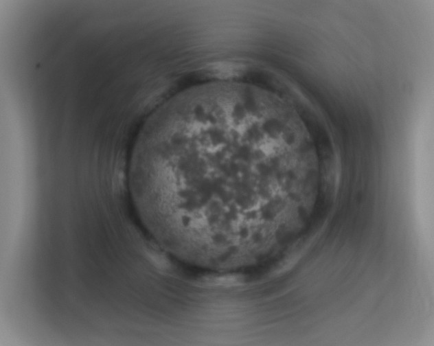 X0000113880553200909241355