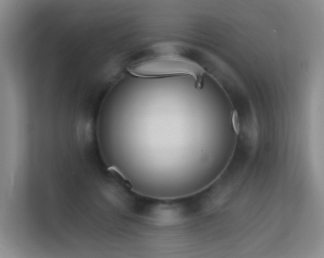 X0000113880556200909241355