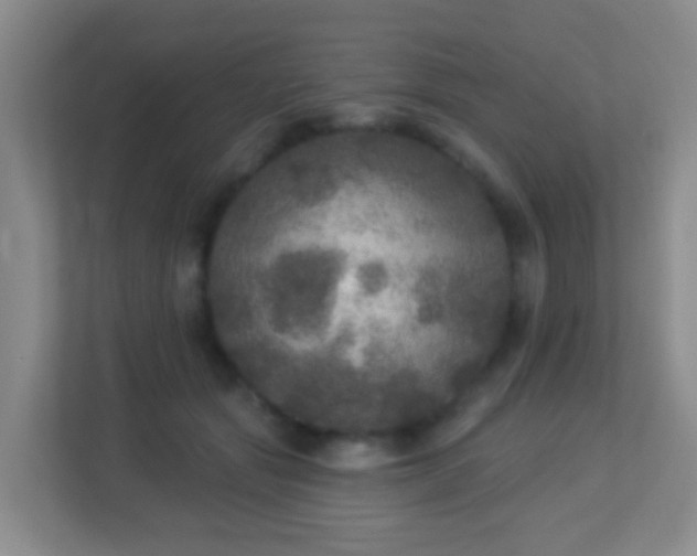 X0000113880557200909241355