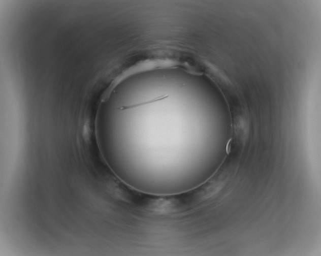 X0000113880566200909241355