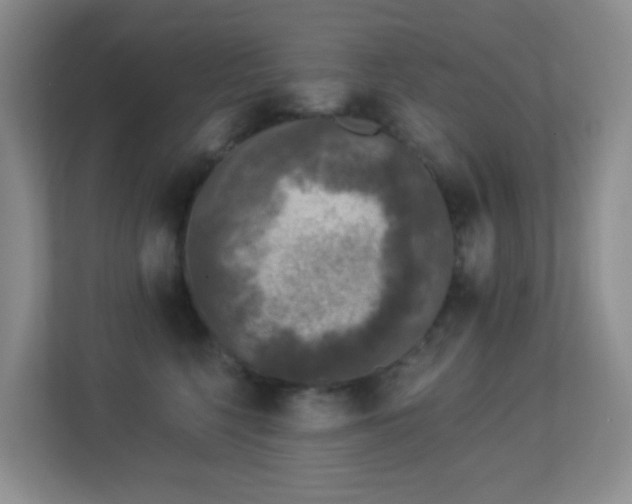 X0000113880568200909241355