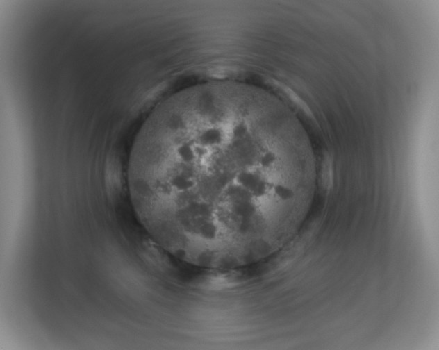 X0000113880569200909241355