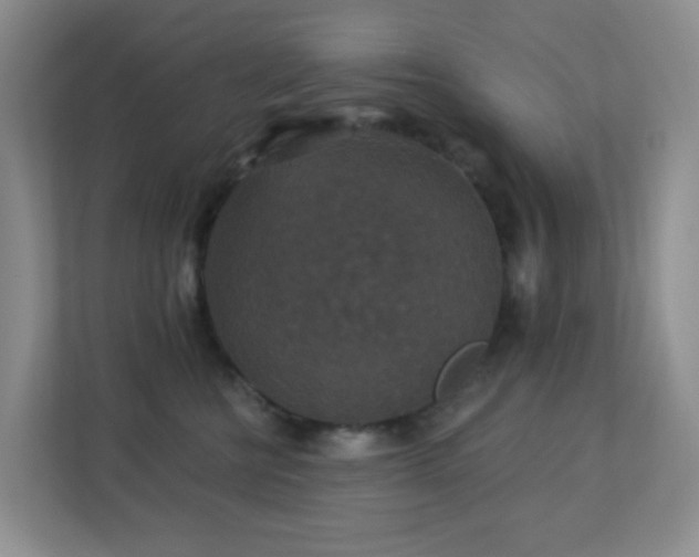 X0000113880570200909241355