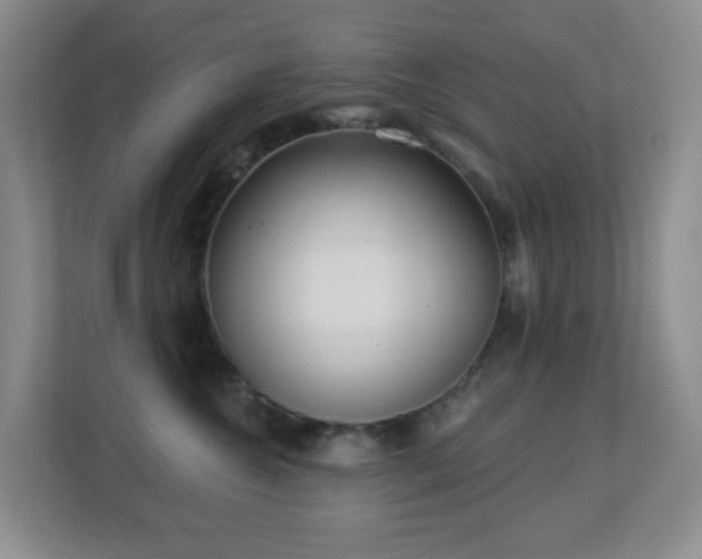 X0000113880572200909241355