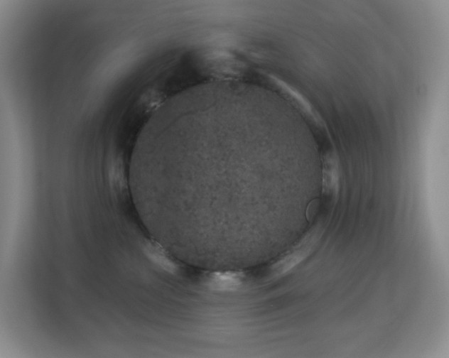X0000113880573200909241355