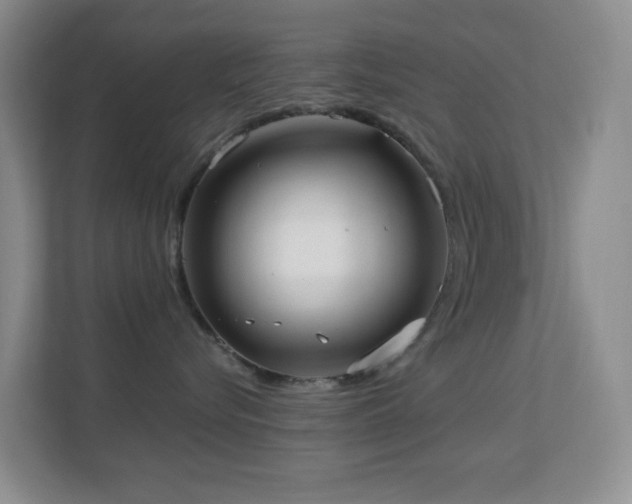 X0000113880576200909241355