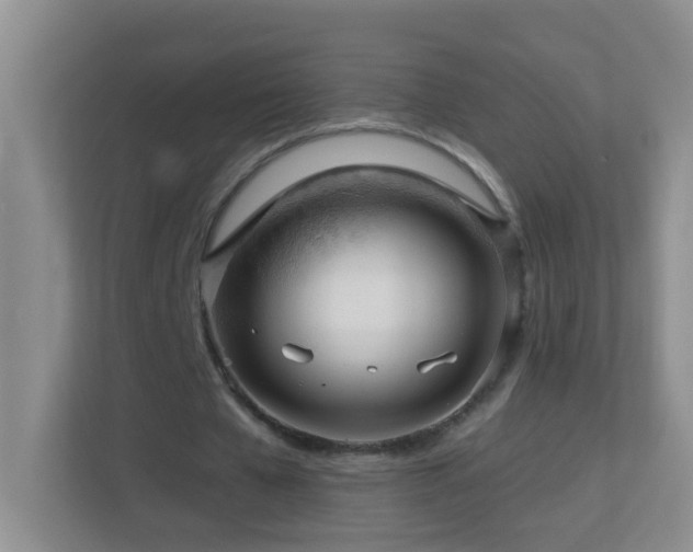 X0000113880577200909241354