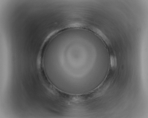 X0000113880579200909241354