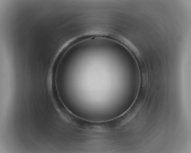 X0000113880580200909241354