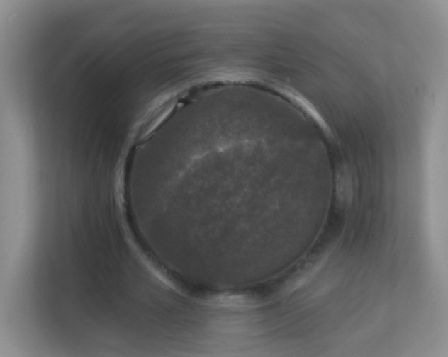 X0000113880581200909241354
