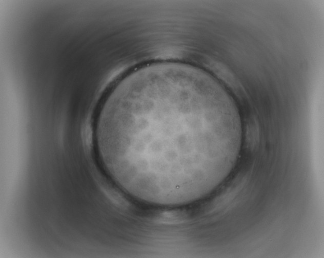 X0000113880584200909241354