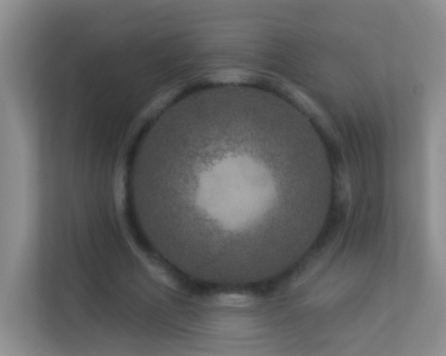 X0000113880586200909241354