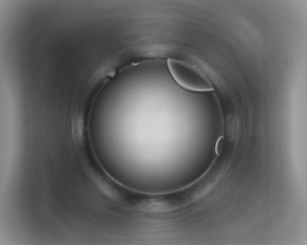 X0000113880589200909241354