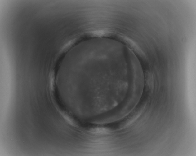 X0000113880590200909241354