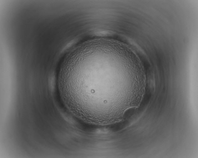 X0000113880591200909241354