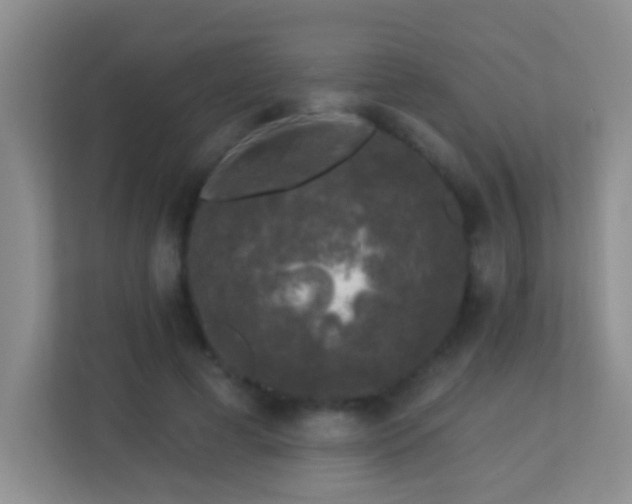 X0000113880593200909241354