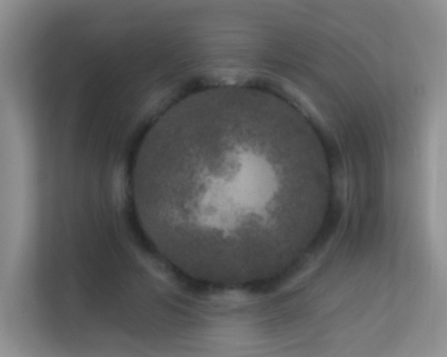 X0000113880594200909241354