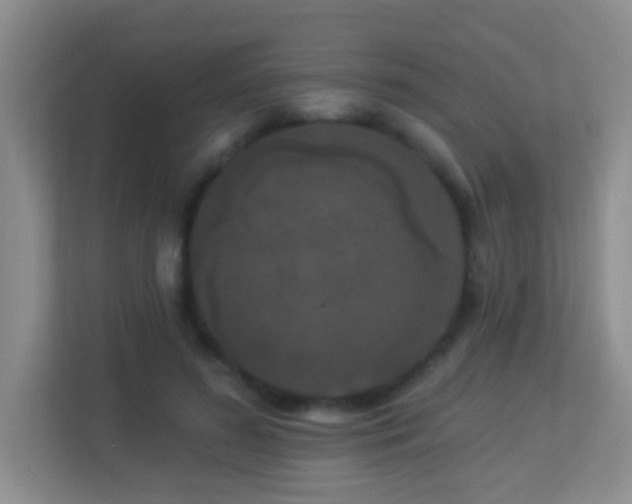 X0000113880596200909241354